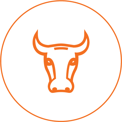 Чистка кожи и меха icon